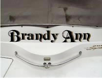 Brandy Ann